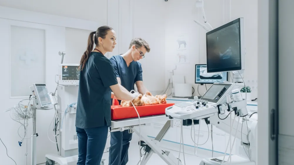 Cirugía con monitoreo avanzado