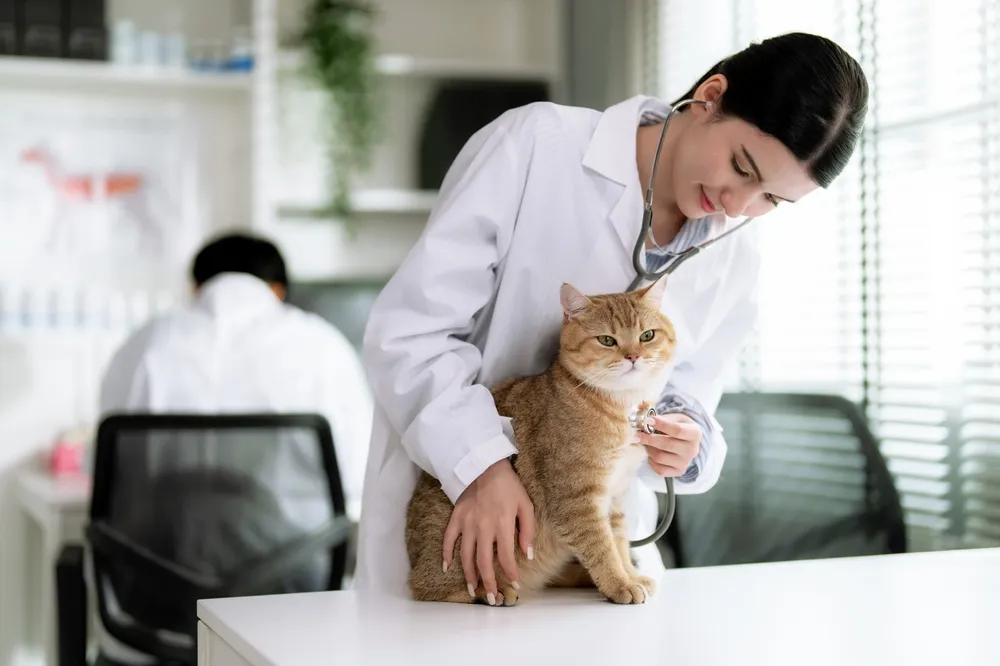 Exámenes de bienestar