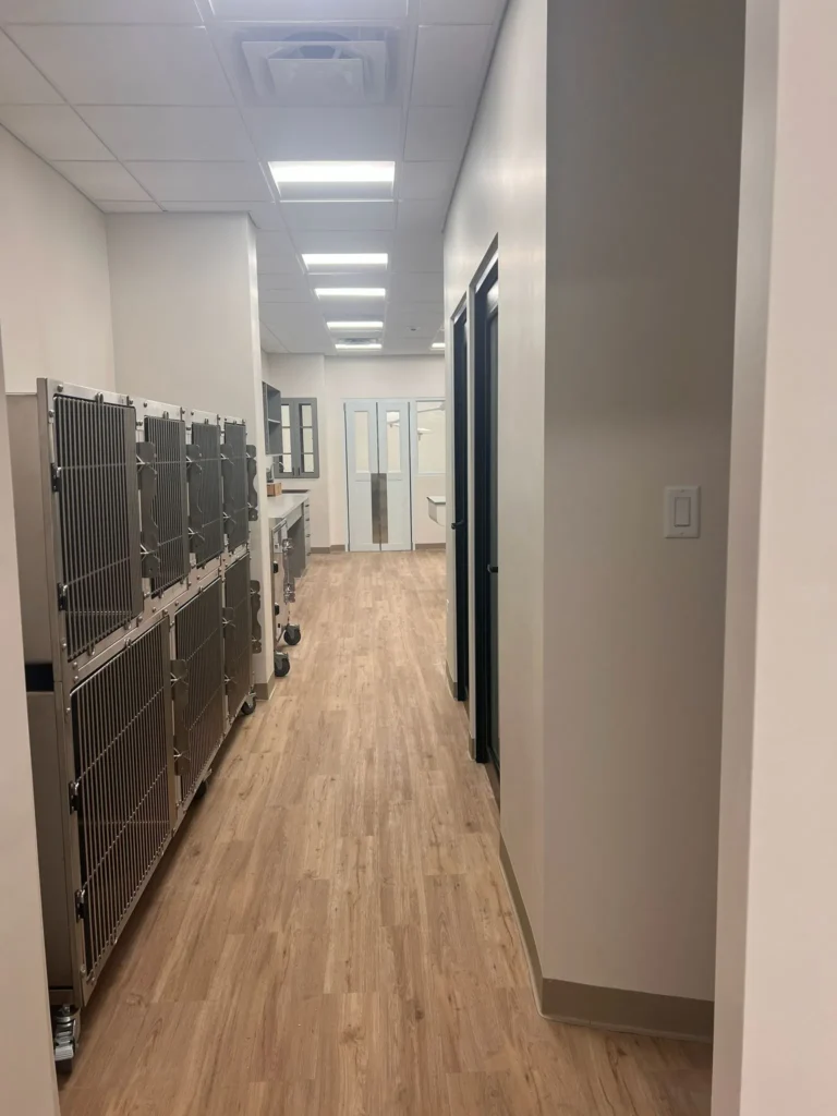 Veterinarios en Palmas del Mar, Servicios Clínicos