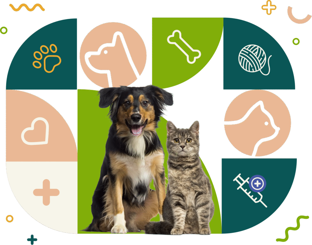 Veterinarios en Palmas del Mar, Servicios Clínicos